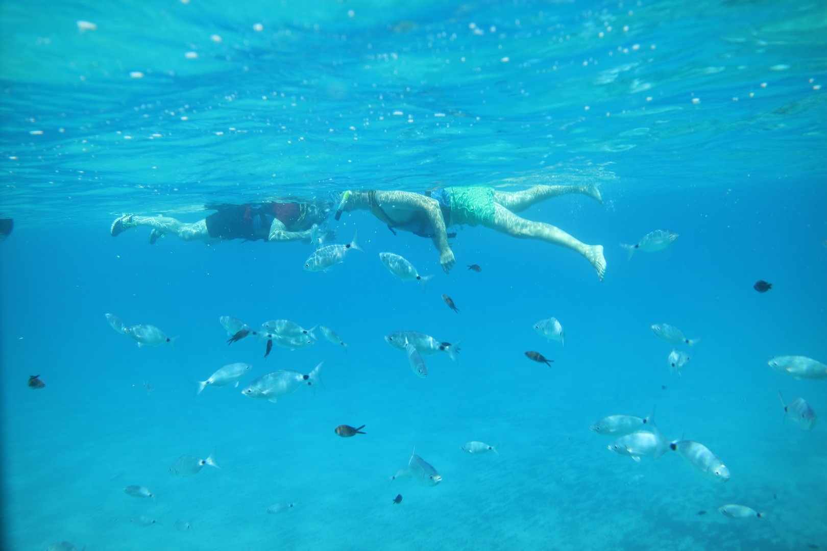 blaue grotte mallorca snorkel