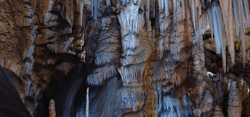 coves de campanet tickets