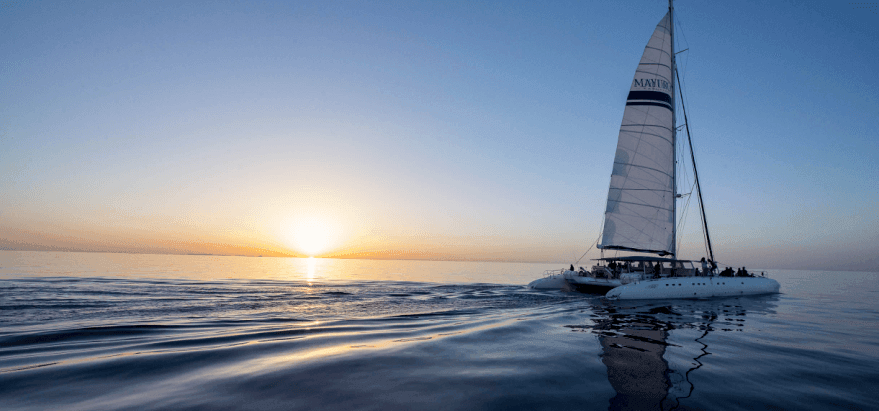 Sonnenaufgang und Delfine