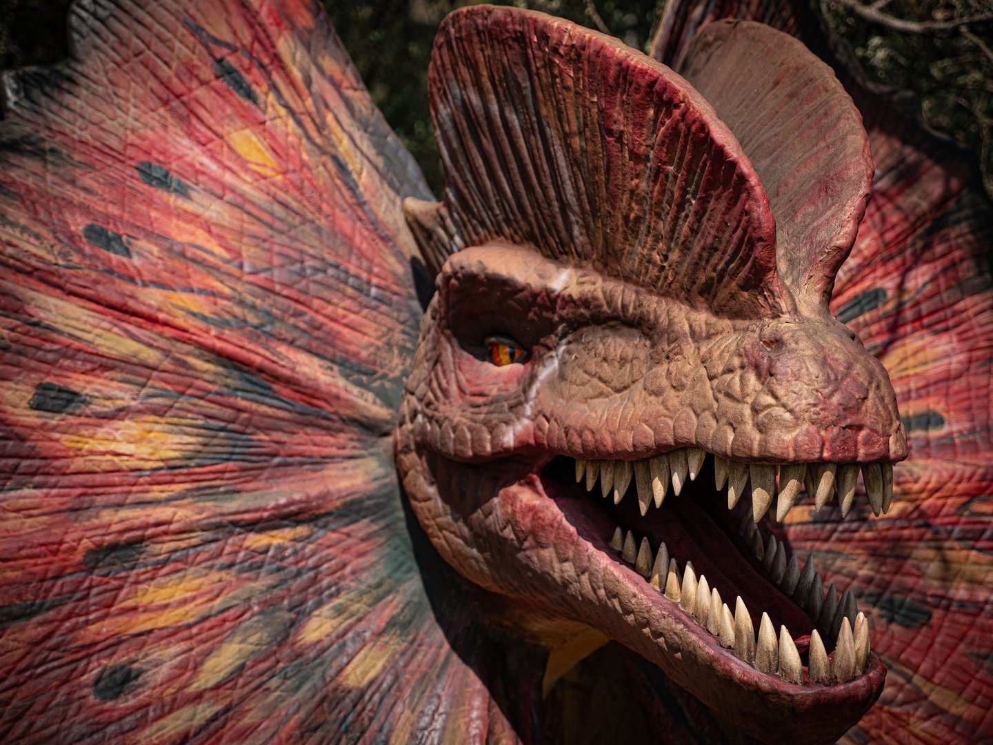 wütender Dinosaurier