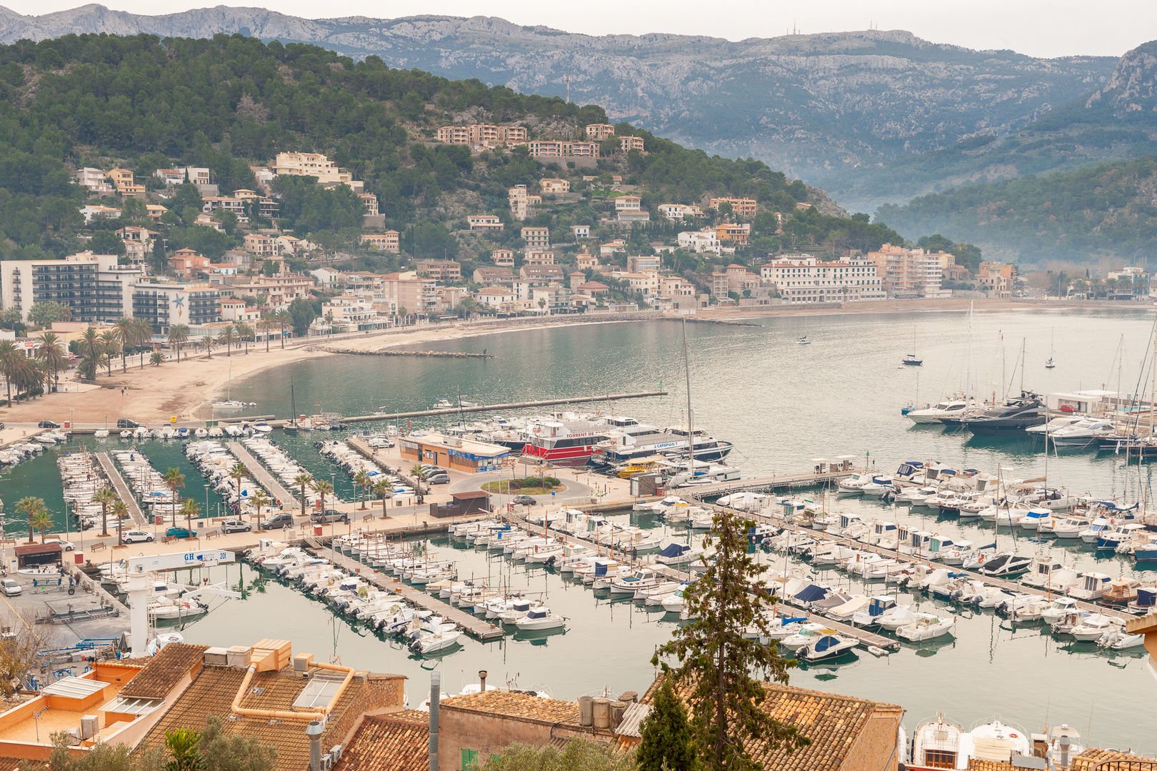 tour privado mallorca