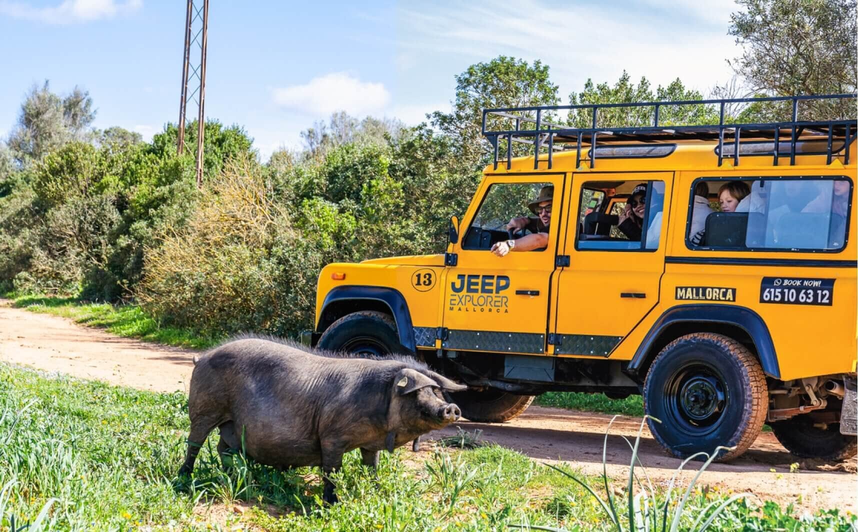 Jeep Safari Mallorca
