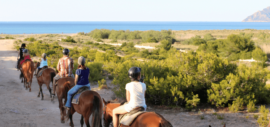 reiten auf mallorca geniessen