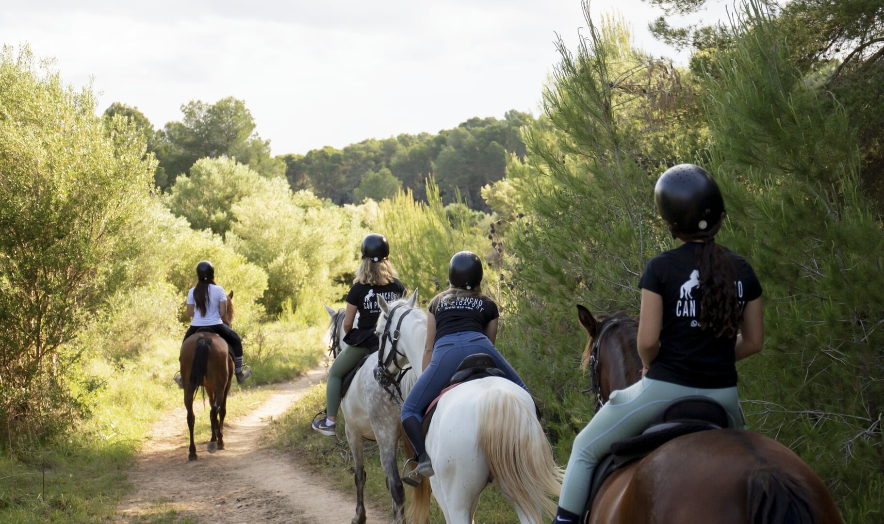 mallorca reiten in can picafort