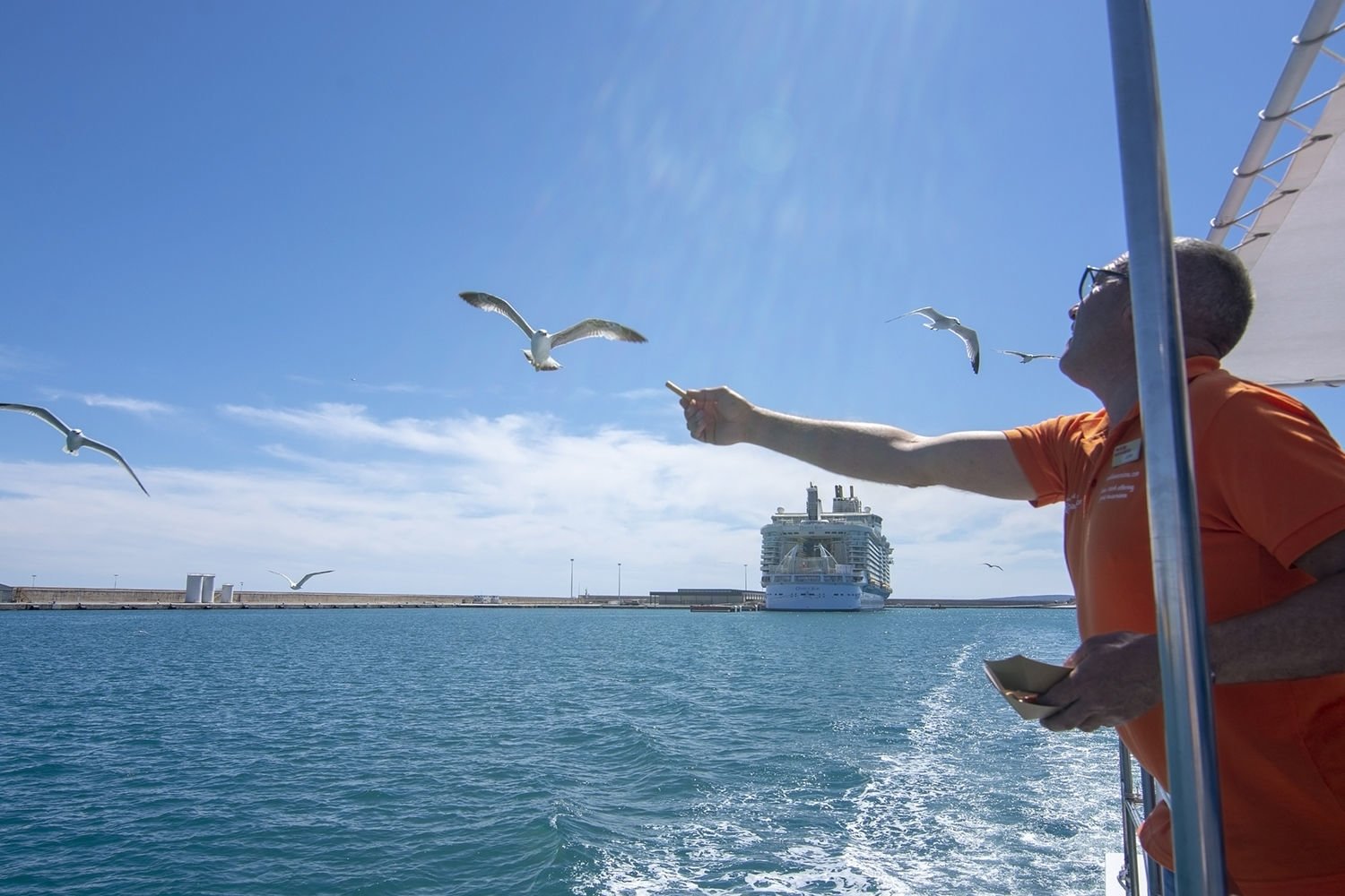 Kreuzfahrtsterminal in Palma Hafen
