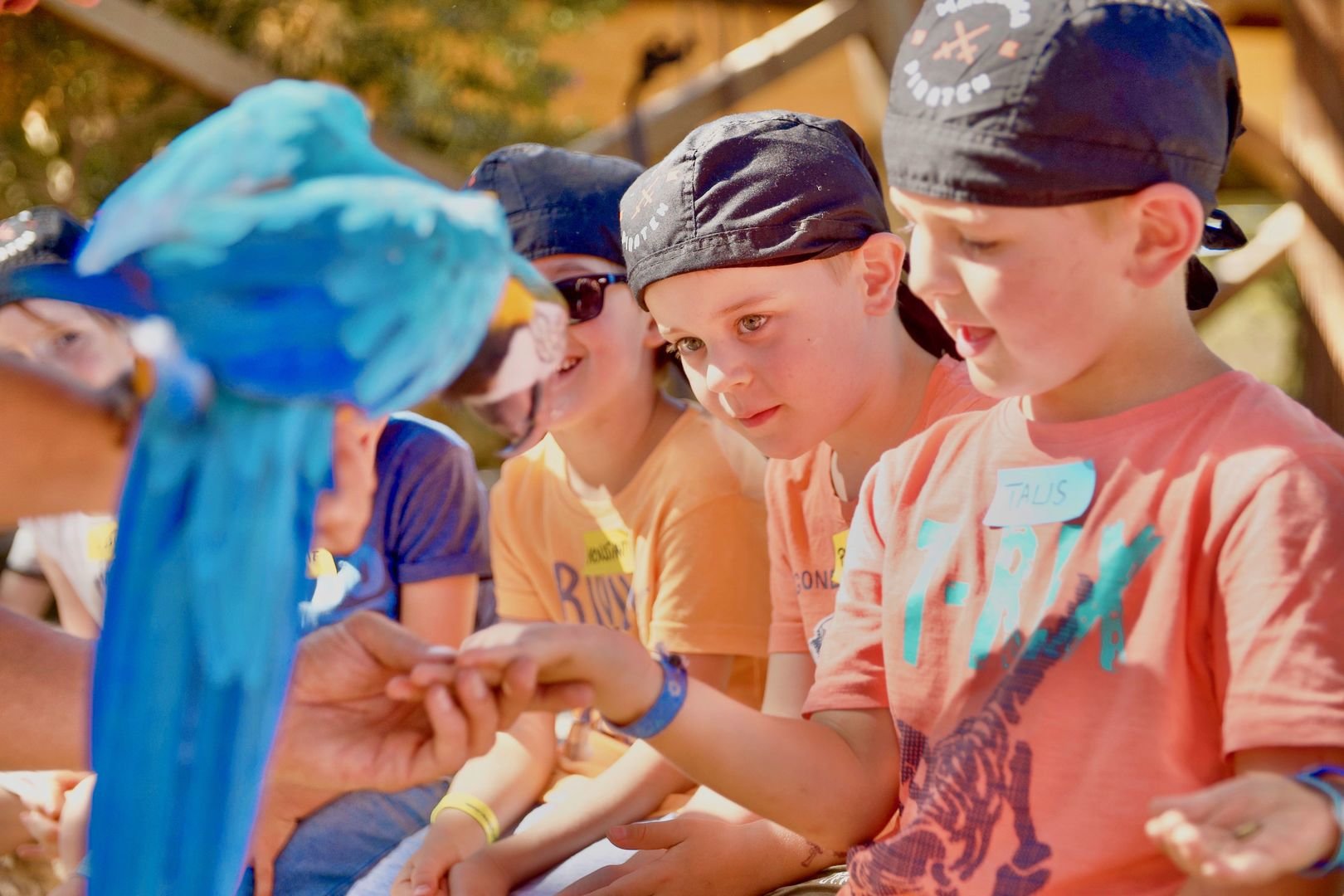 Piratentour in Rancho Grande auf Mallorca