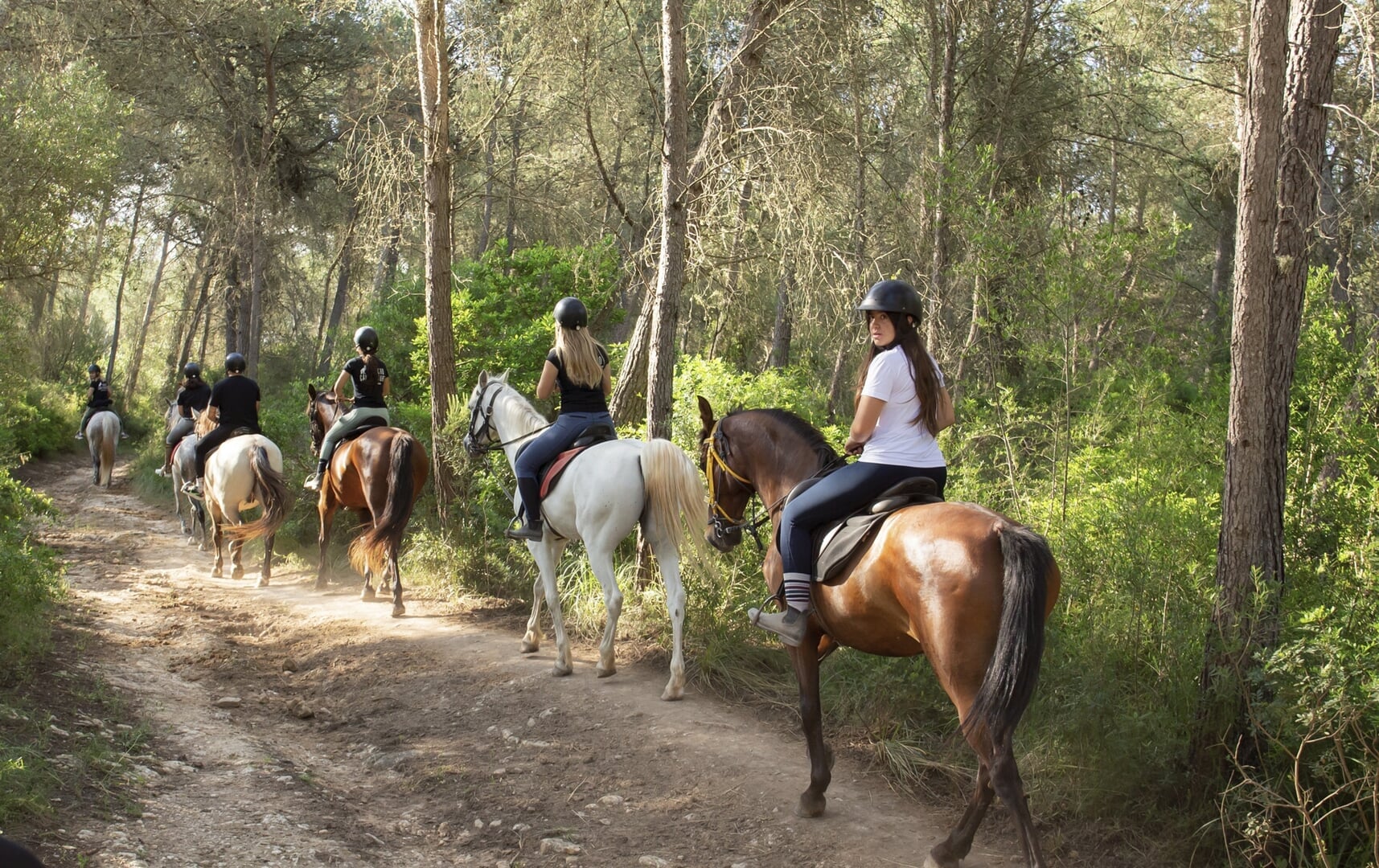 reiten in can picafort
