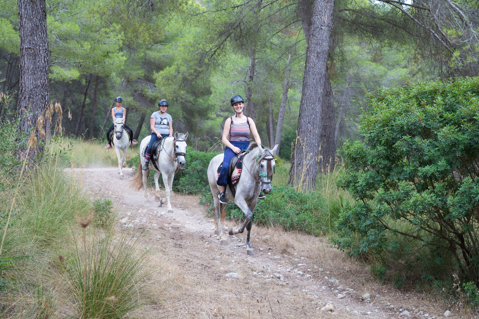 Reiten in Alcudia