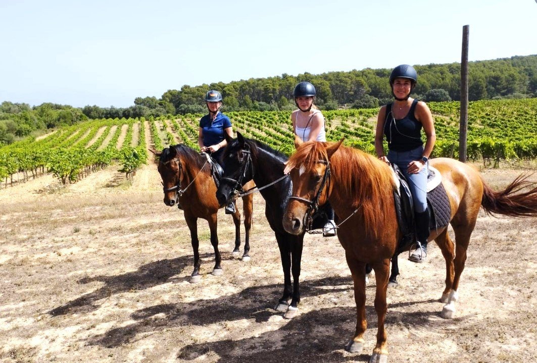 Reiten auf Mallorca