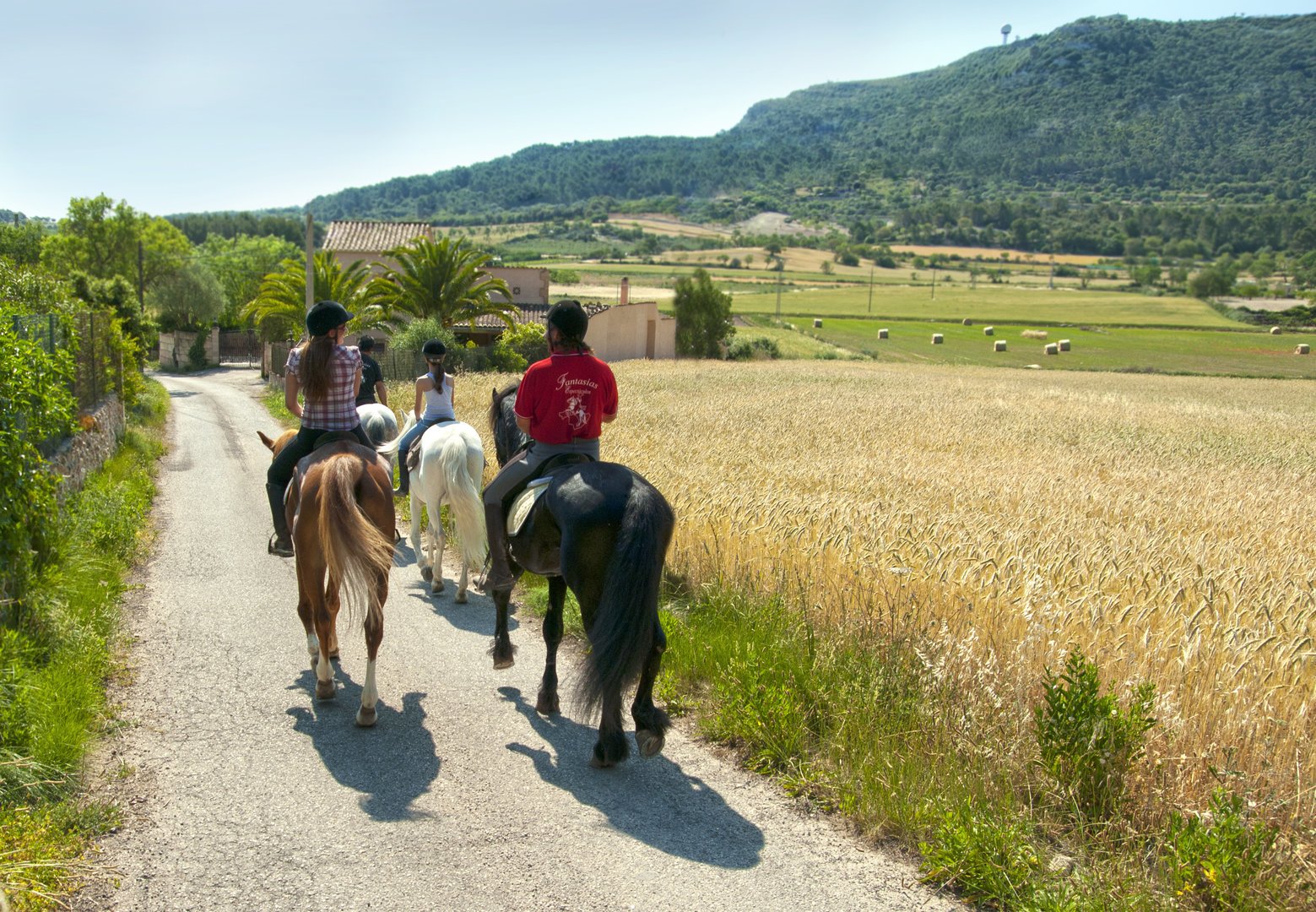 Reiten Ausflüge auf Mallorca