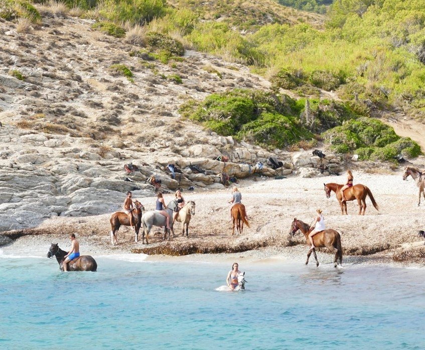 ausflug reiten auf mallorca