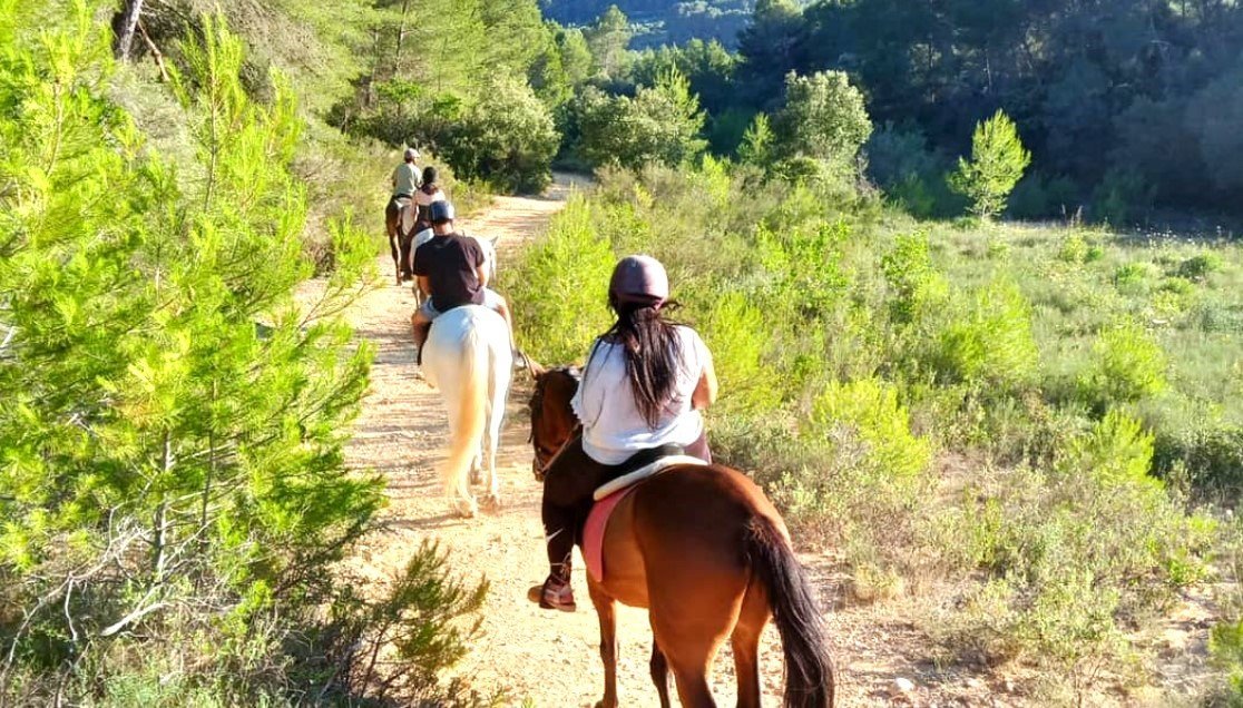 Ausflug Reiten auf Mallorca