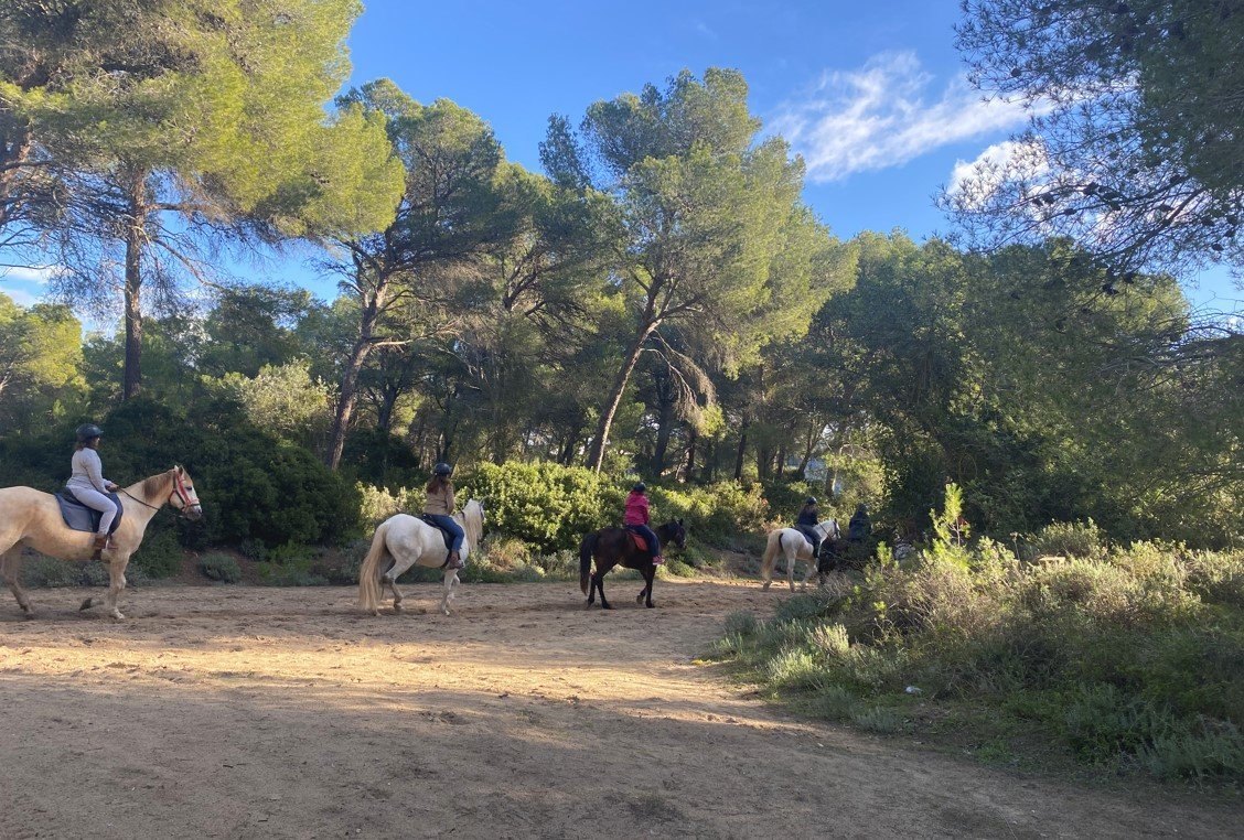 Ausflug Reiten auf Mallorca am Strand