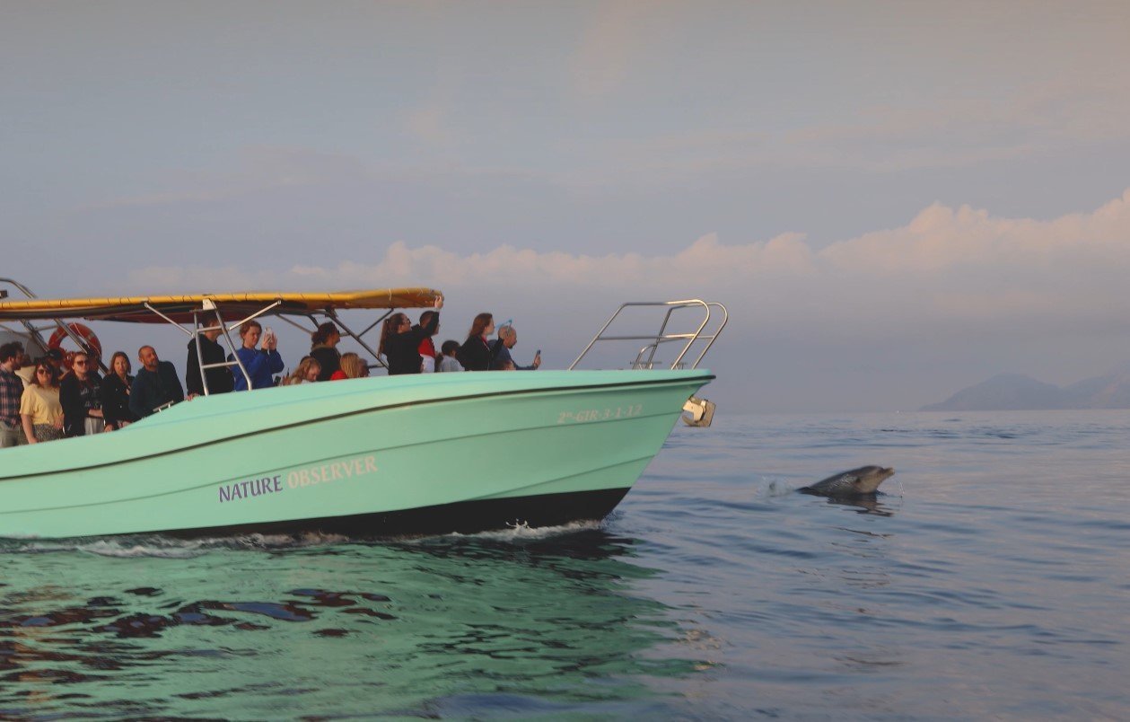amanecer con delfines