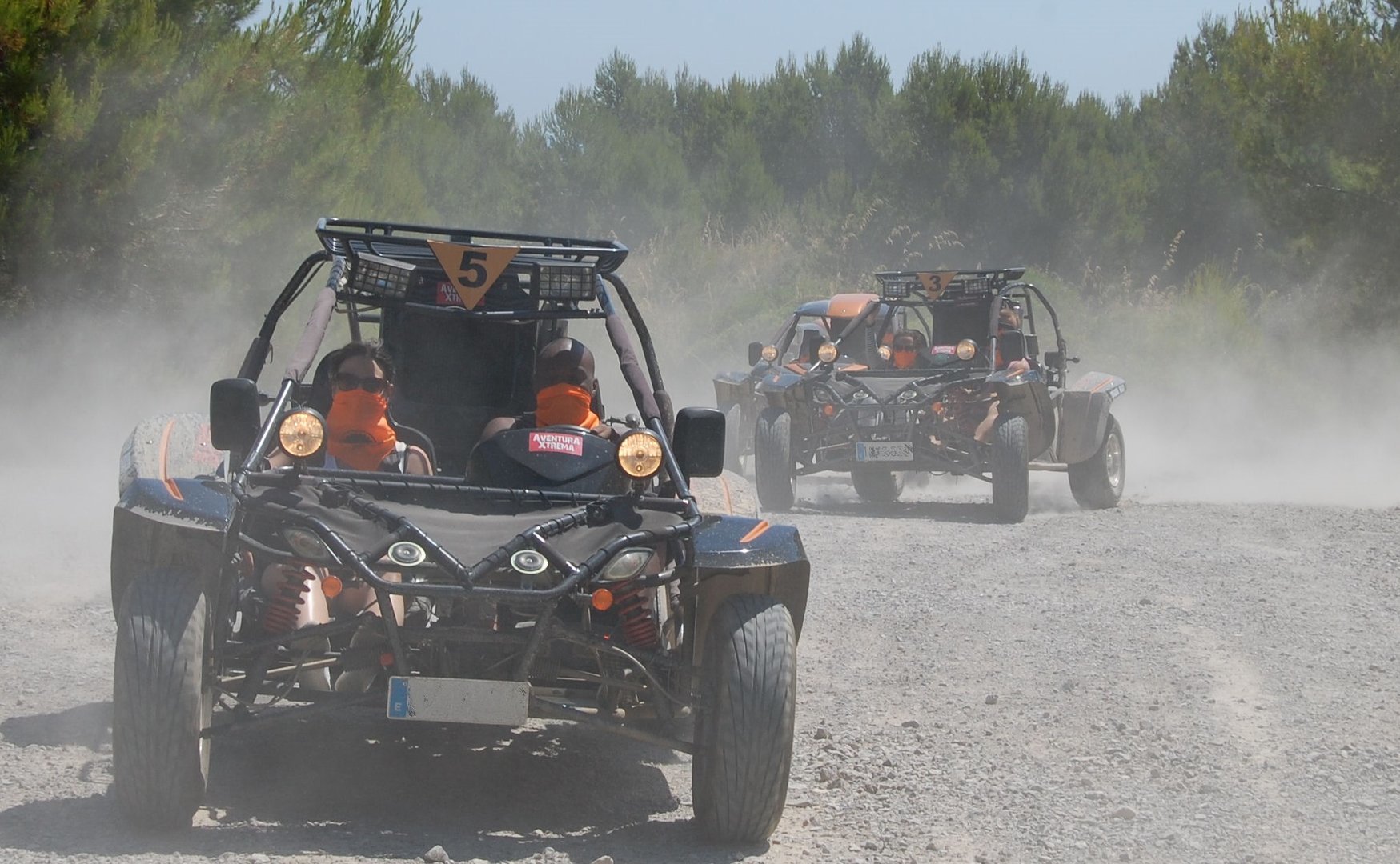 de ruta en buggy