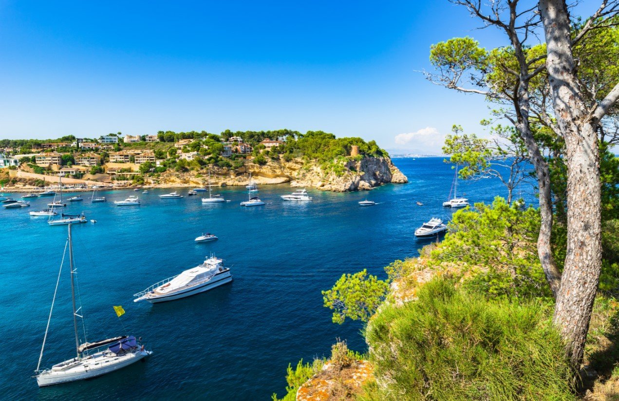 Cala de Portals Vells que vemos desde la lancha