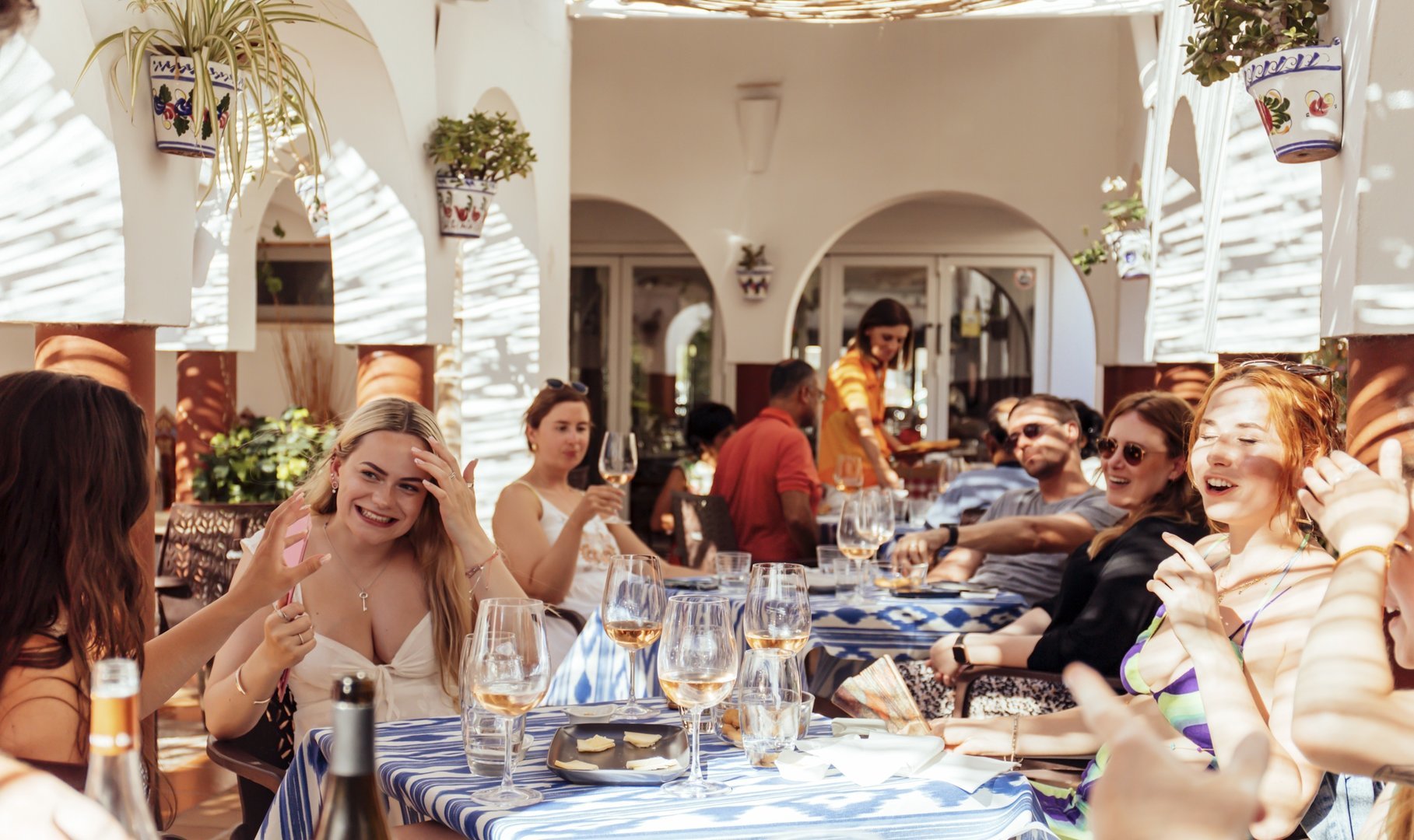 explicación de los vinos