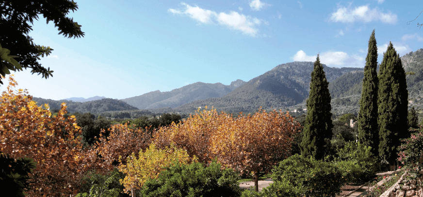 Vista del valle de Sant Miquel desde las coves