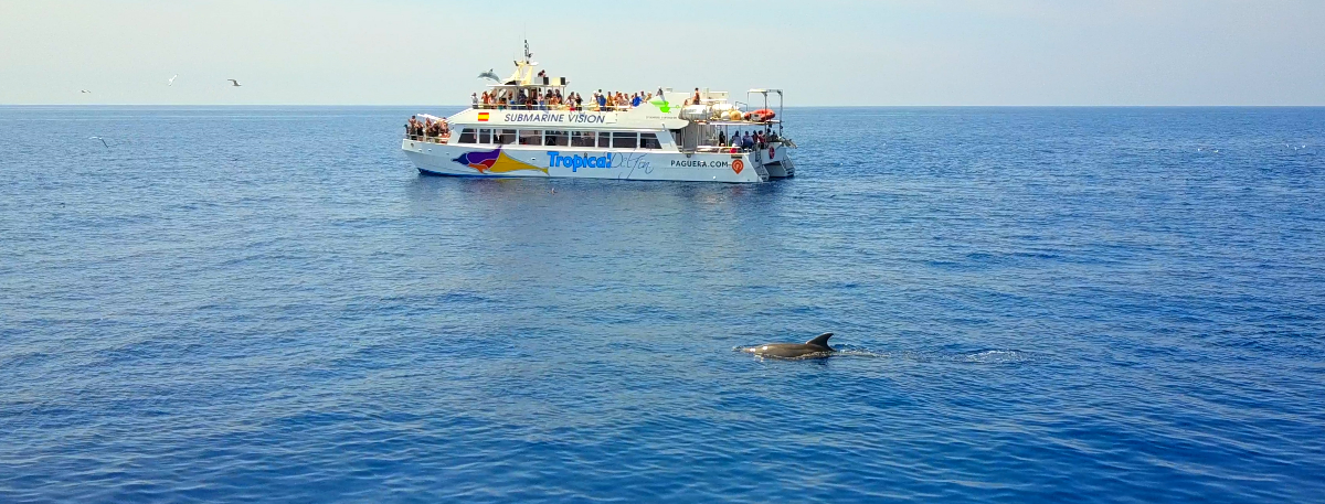 barco desde santa ponsa