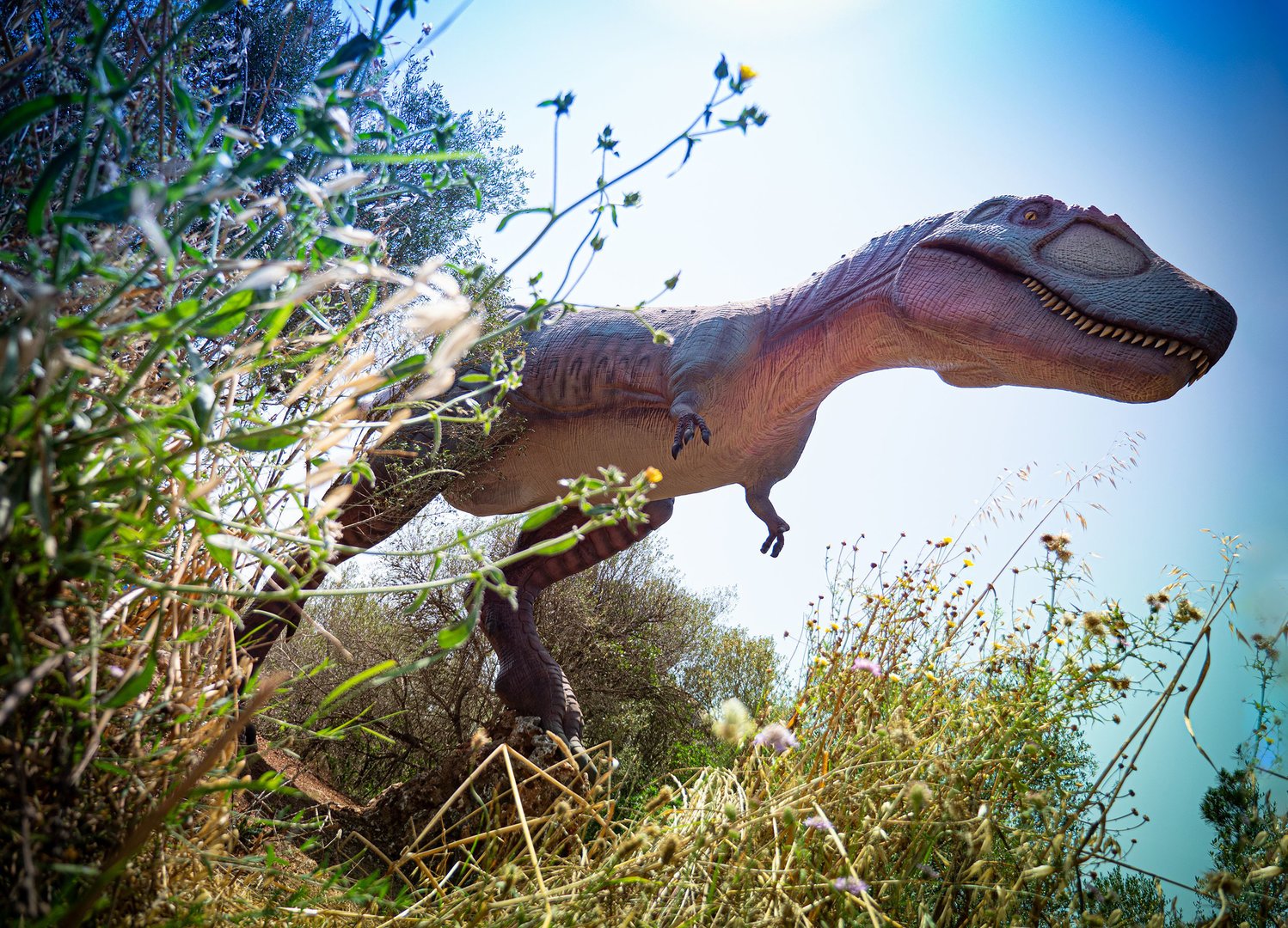 dinosaurland-mallorca-click-mallorca