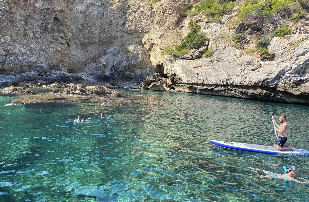 paddle surf