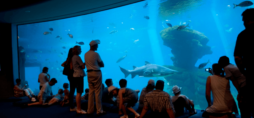 Palma Aquarium en Mallorca