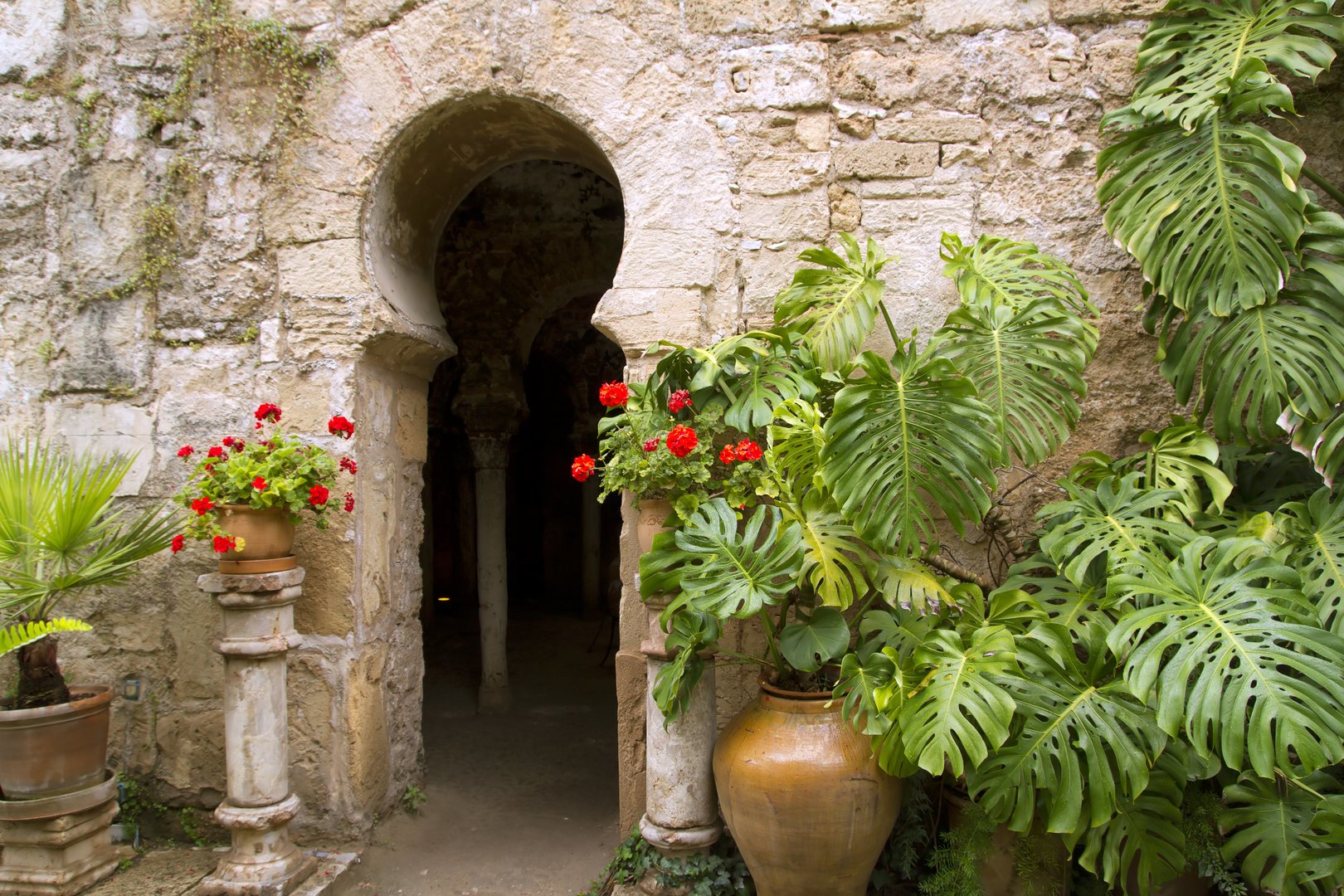 mallorca freetour