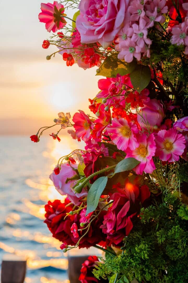 barco sunset flowers