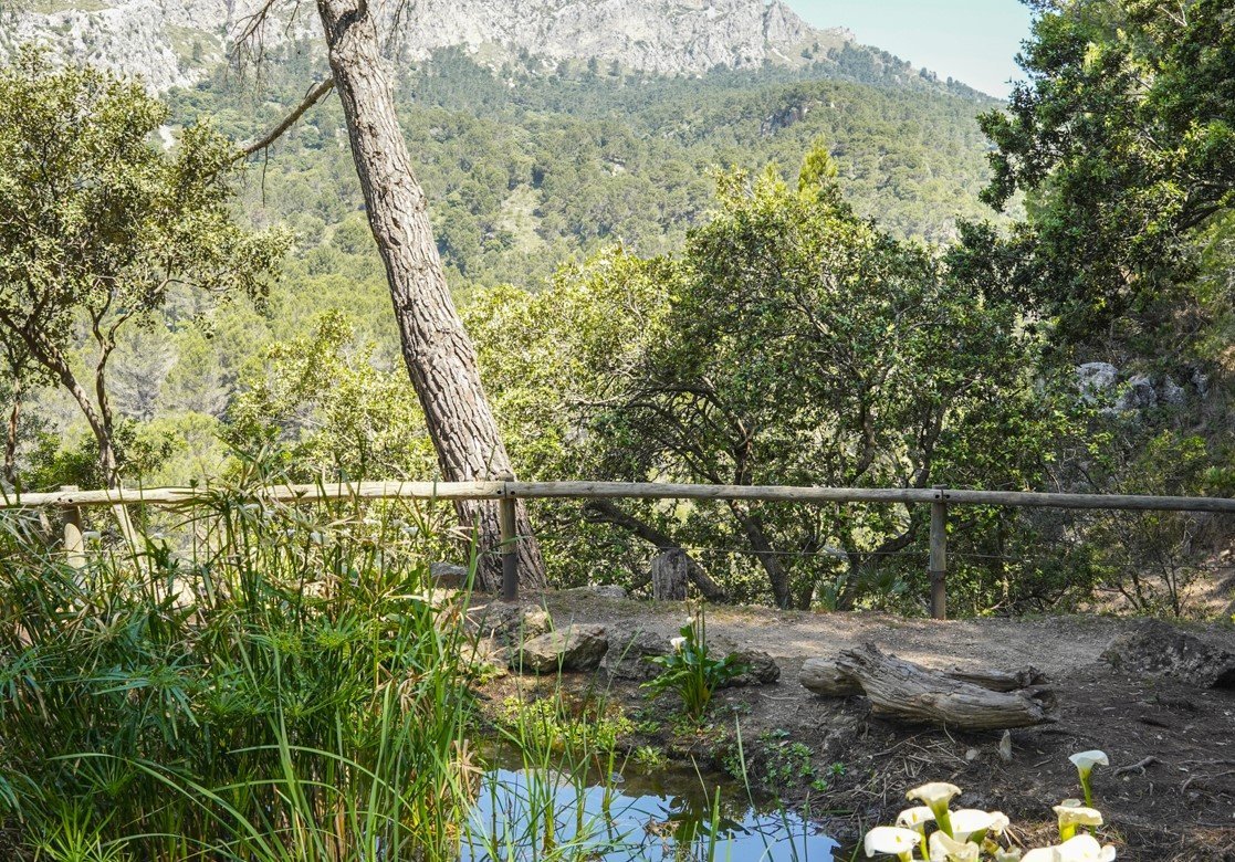 ponys en el puig de galatzo
