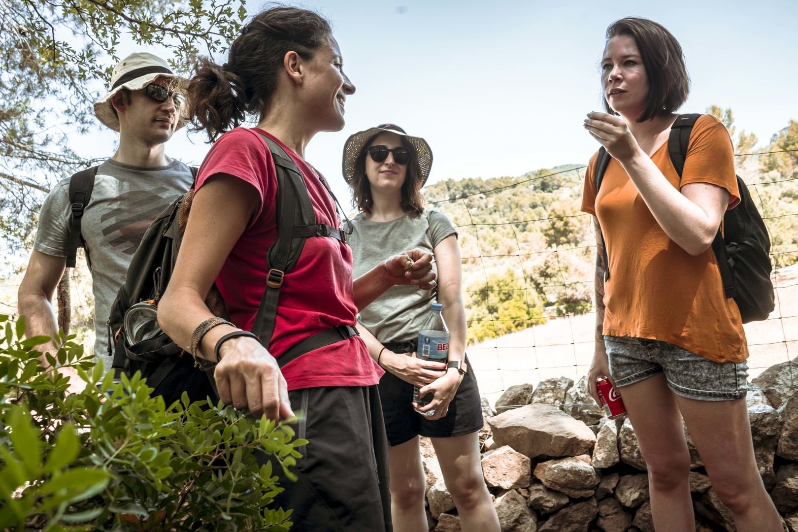 plantas en el camino