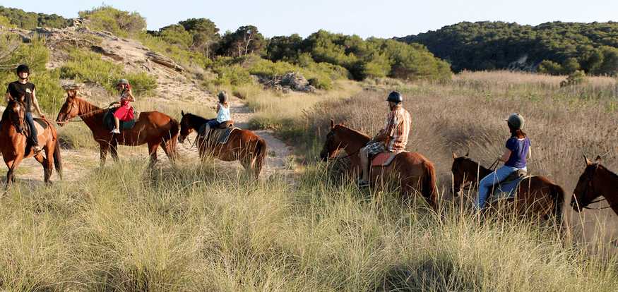 ruta a caballo hacia la playa
