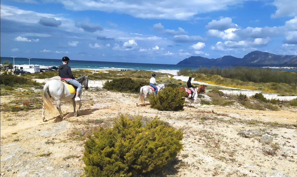 paisaje de Son Serra