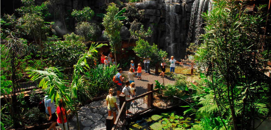 La jungla del Aquarium