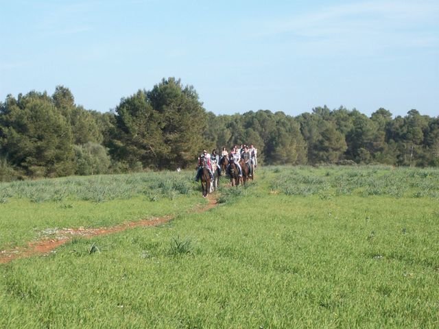 Montar a caballo por el pinar
