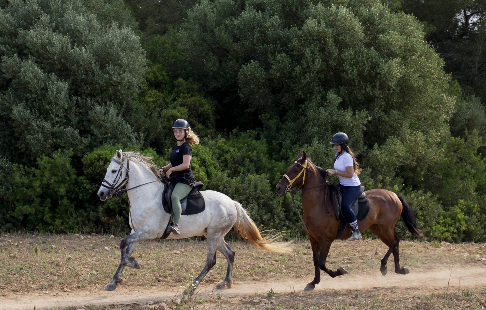 cabalgando por la playa