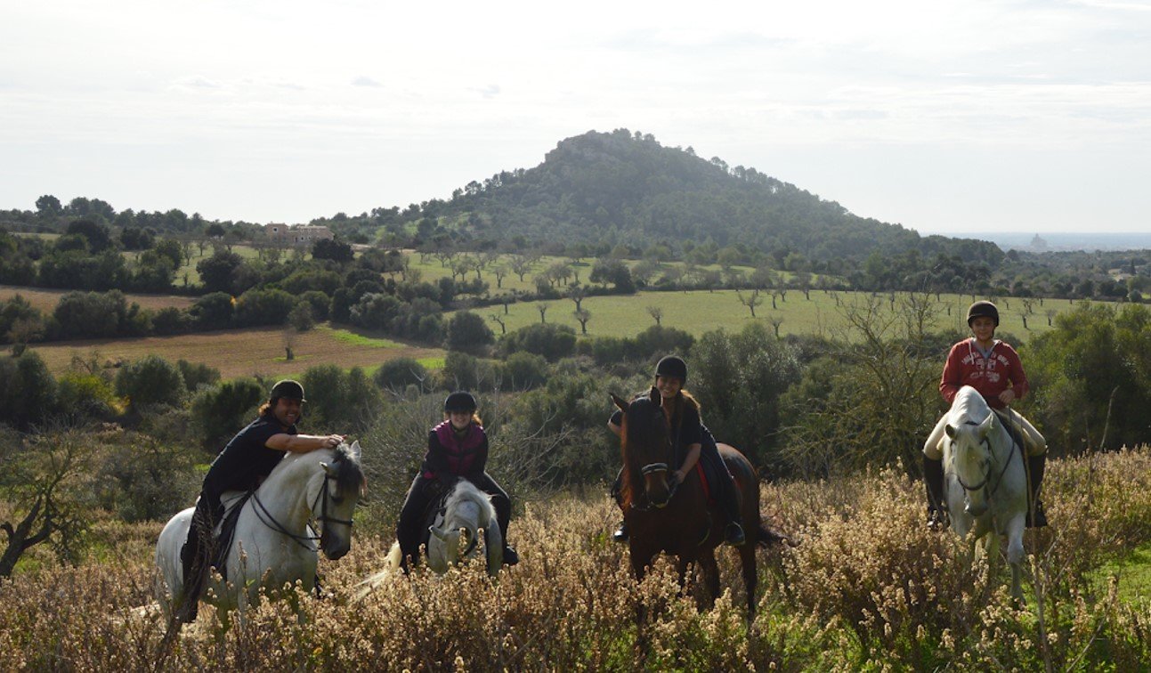 caballos en Mallorca