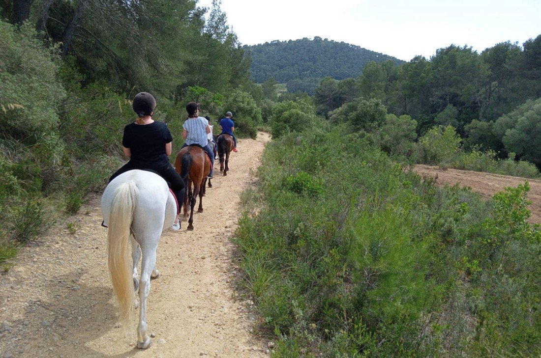jinetes montando a caballo