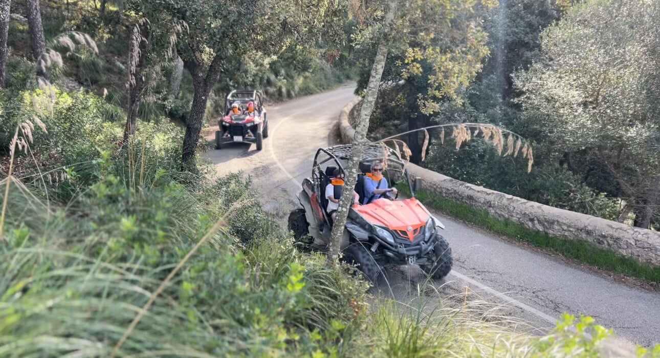 camino por las montañas