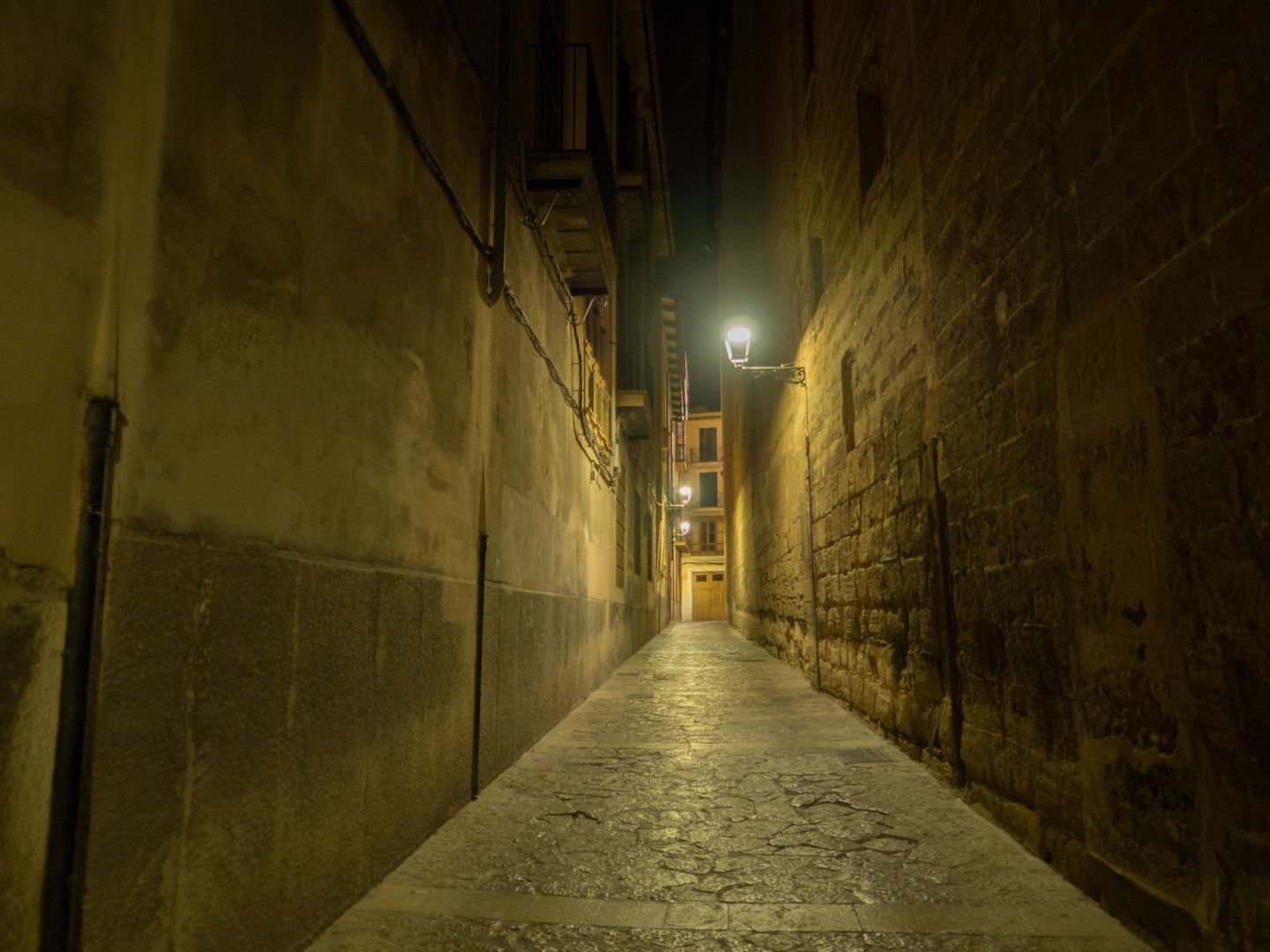 Ruta familiar en Palma de noche