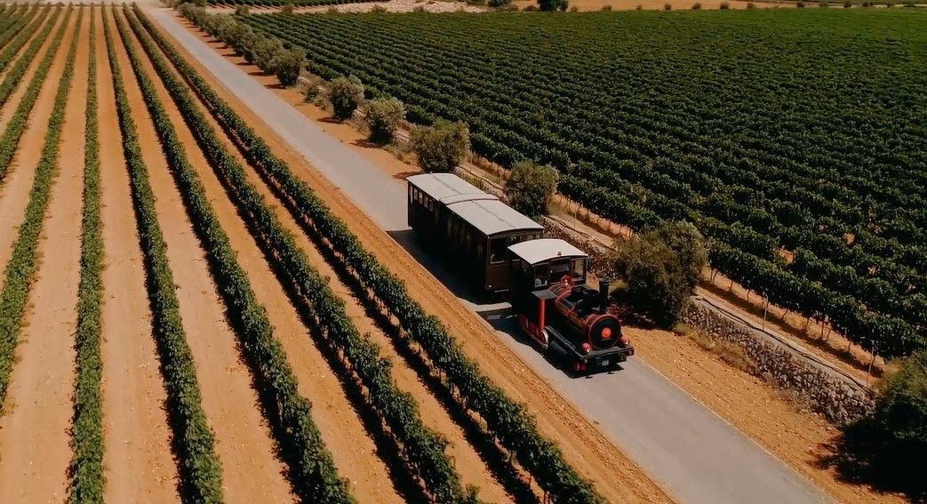 Ruta tren enoturismo