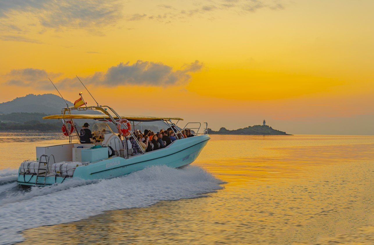 tour to see dolphins at the sea