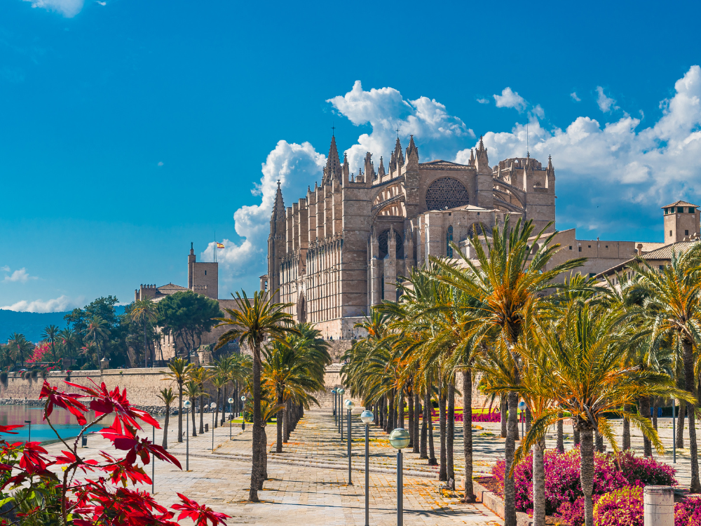 visit palma