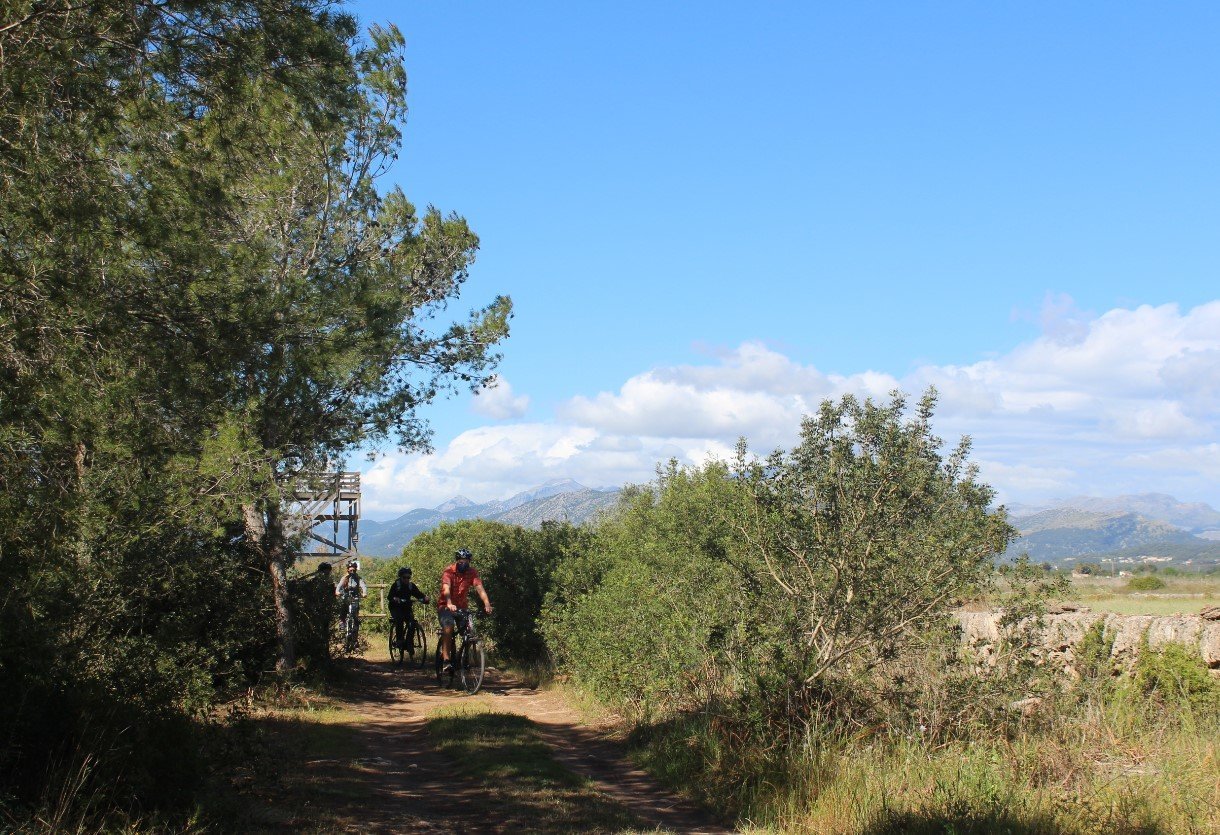 riding in the albufereta mallorca
