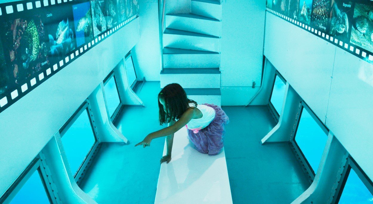 inside glass bottom boat