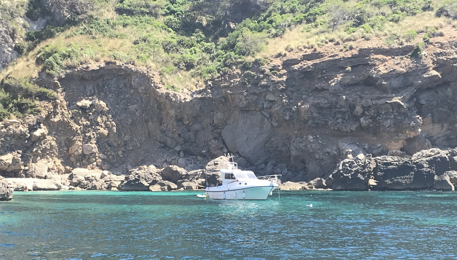 our boat fleet for the boat tour