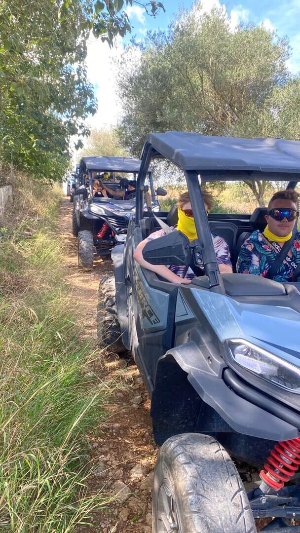 at the mountain area