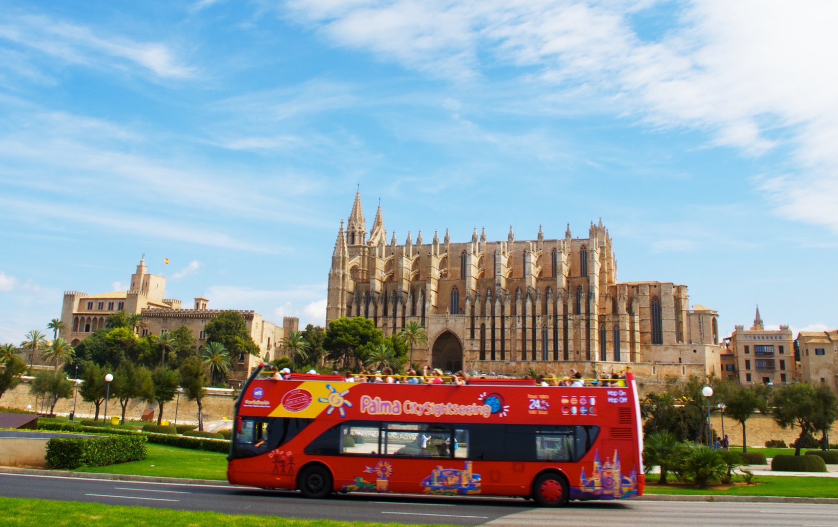 catedral de palma views