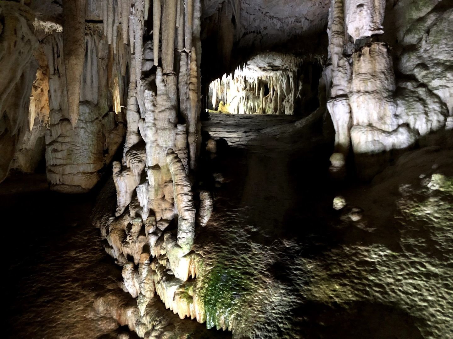 Caves of Campanet