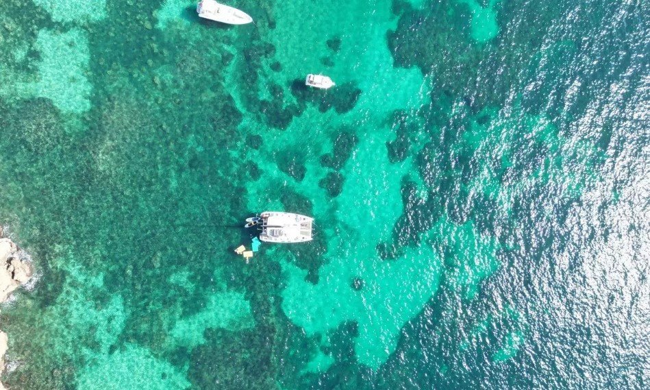 catamaran on cove mallorca