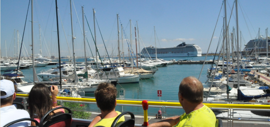 Palma harbor